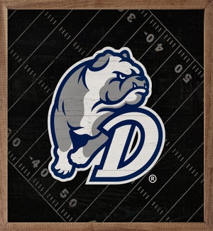 Black Football Field Drake University